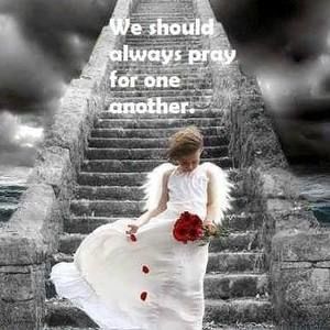 Meet your Posher, Susie